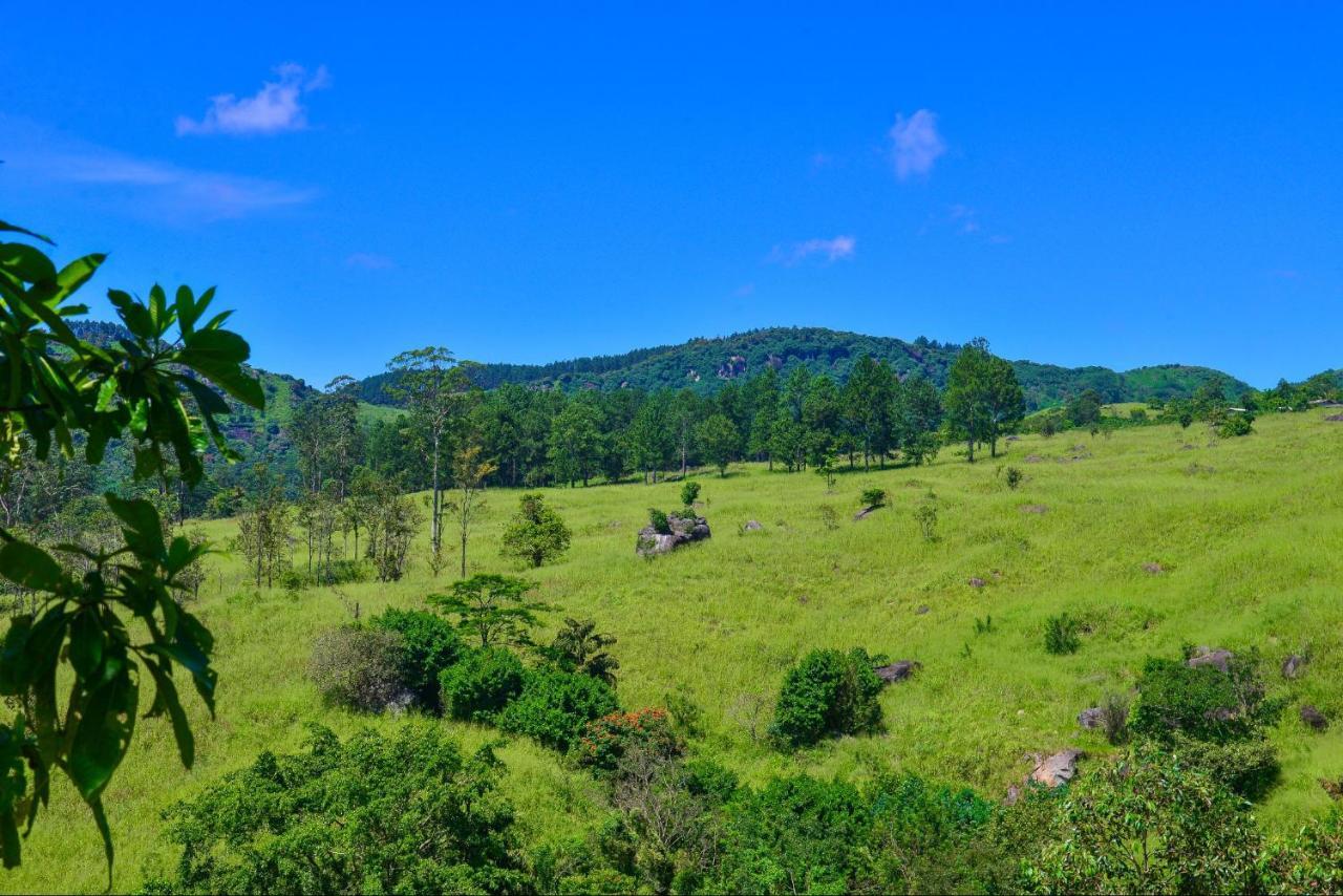 Lak Sewana Home Stay Kandy Exterior foto