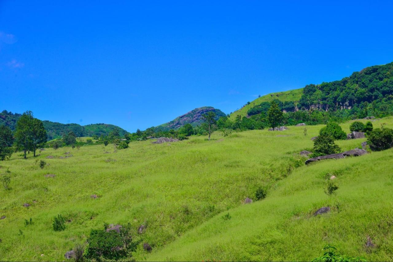 Lak Sewana Home Stay Kandy Exterior foto