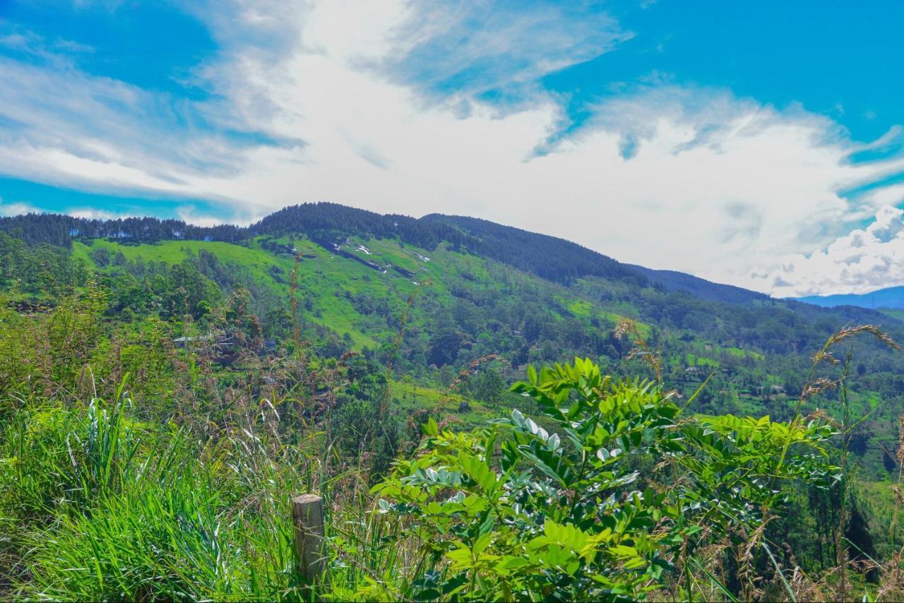 Lak Sewana Home Stay Kandy Exterior foto