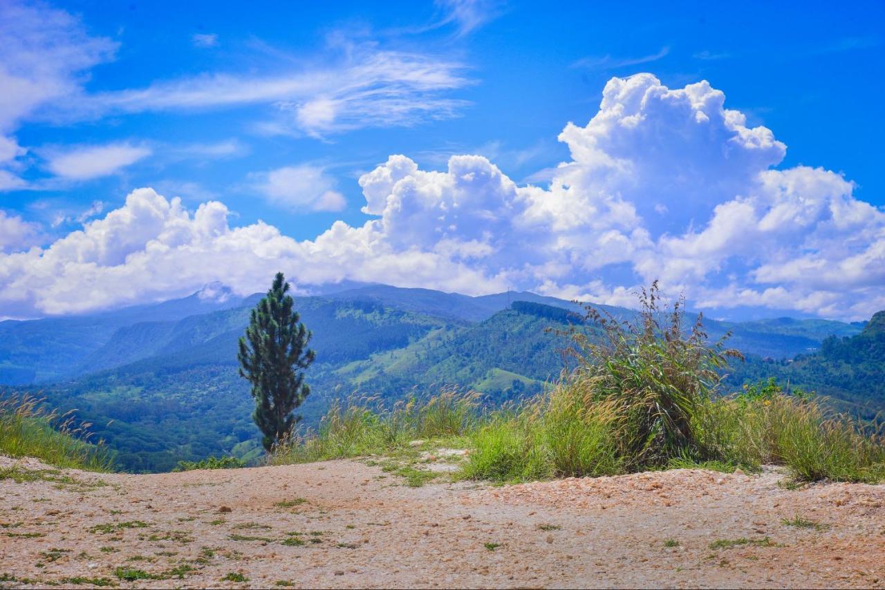 Lak Sewana Home Stay Kandy Exterior foto