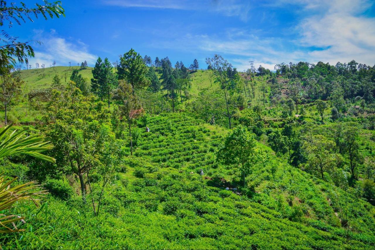 Lak Sewana Home Stay Kandy Exterior foto